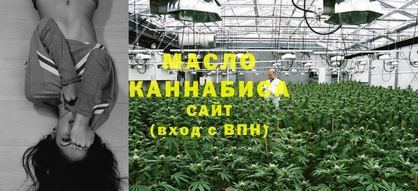 ECSTASY Богородск