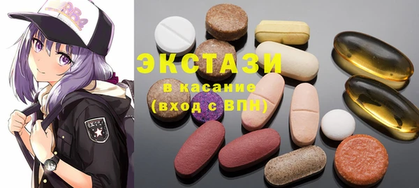 ECSTASY Богородицк