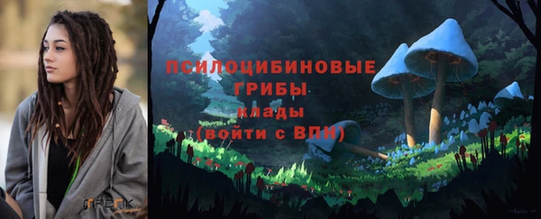 ECSTASY Богородицк