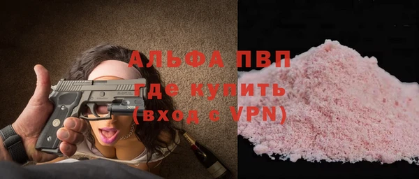 ECSTASY Богородицк
